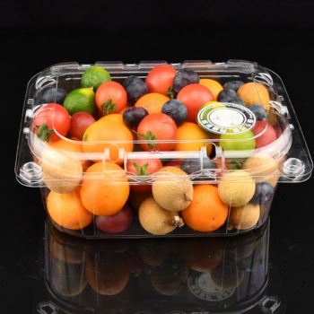 Disposable Meal Tray with Lid Disposable Meal Tray with Lid